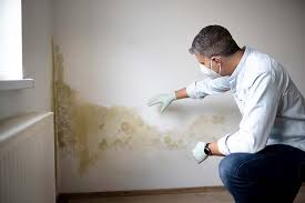 Best Environmental Consulting for Mold Prevention  in Grandview, OK